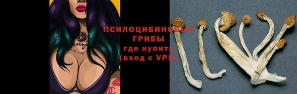 таблы Протвино