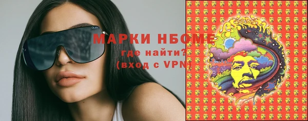 прущие грибы Покровск