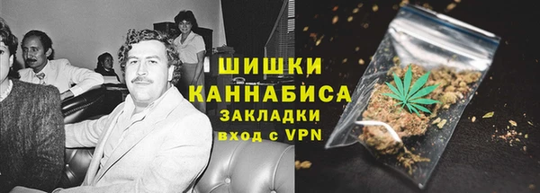 прущие грибы Покровск