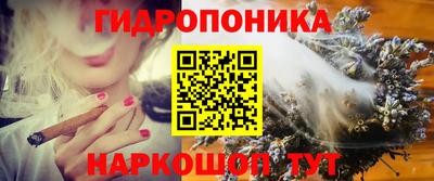 твердый Дубна