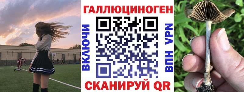 Псилоцибиновые грибы прущие грибы  Новороссийск 