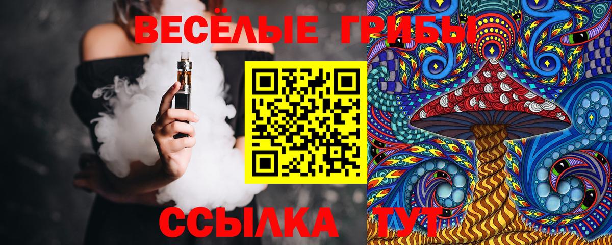 Галлюциногенные грибы Psilocybine cubensis  Псилоцибиновые грибы Psilocybine cubensis  Новороссийск  Вход с VPN 